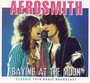Baying At The Moon - Aerosmith