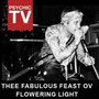 Thee Fabulous Feast Ov Flowering Light - Psychic TV