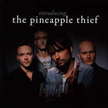 Introducing The Pineapple Thief - The Pineapple Thief 