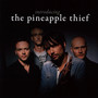 Introducing The Pineapple Thief - The Pineapple Thief 