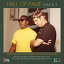 Hall Of Fame Volume 3 - V/A