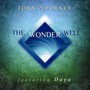 Wonder Well - John Adorney