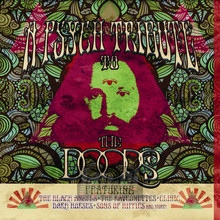 Psych Tribute To The Doors - Tribute to The Doors