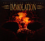 Shadows In The Light - Immolation