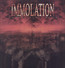 Harnessing Ruin - Immolation