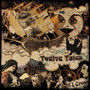 Twelve Tales - A.J. Croce