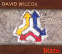 Blaze - David Wilcox