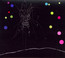 I Am The Last Of All The Field That Fell: A Channel - Current 93 I Am The Last Of All The Field That Fell: A Channel - Current 93