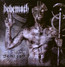 Demigod - Behemoth Demigod - Behemoth