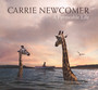 Permeable Life - Carrie Newcomer