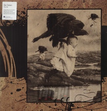 The Fall - Se Delan