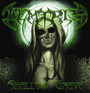 Shallow Grave - Temtris