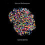 Meteorites - Echo & The Bunnymen