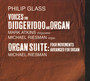 Voices For Didgeridoo & Organ - Philip Glass