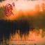Naer Solen Gar Niper For Evogher - Dawn   