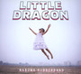 Nabuma Rubberband - Little Dragon