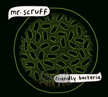 Friendly Bacteria - MR. Scruff