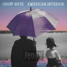 American Interior - Gruff Rhys