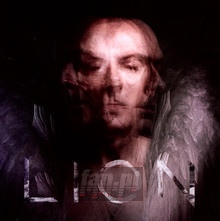 Lion - Peter Murphy