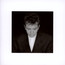 Shaking The Tree: Best Of - Peter Gabriel Shaking The Tree: Best Of - Peter Gabriel