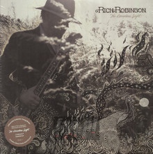 Ceaseless Sight - Rich Robinson
