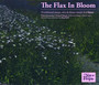 Flax In Bloom - Flax In Bloom
