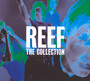 Collection - Reef
