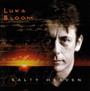 Salty Heaven - Luka Bloom