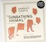 Sunbathing Animal - Parquet Courts