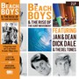Beach Boys & The Rise Of The Surf Movement - The Beach Boys 