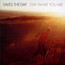 Stay What You Are - Saves The Day
