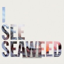I See Seaweed - Drones