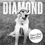 Don't Lose Your Cool - Diamond Youth