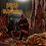 Piles Of Rotting Flesh - Stages Of Decomposition