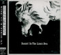 Daniel In The Lion's Den - Daniel Blumberg