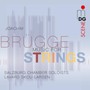 Music For Strings - Salzburg Chamber Solists Lavard Skou