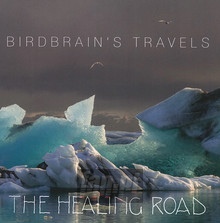 Birdbrain's Travels - The Healing Road 