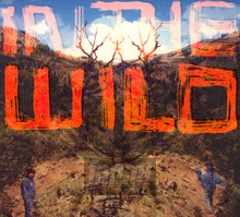 In The Wild - Falty DL