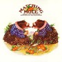 Matching Mole: 180 Gram - Matching Mole