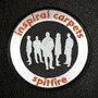 Spitfire - Inspiral Carpets