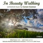 In Beauty Walking - C. Cooman
