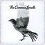 Common Linnets - Common Linnets Common Linnets - Common Linnets