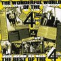 Wonderful World-The Best Of The 4-Skins - 4 Skins