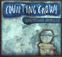 Somewhere Under Wonderlan - Counting Crows