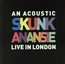 An Acoustic Skunk Anansie - Skunk Anansie