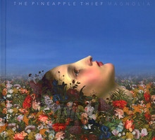 Magnolia - The Pineapple Thief 