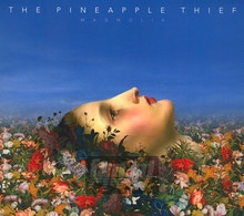 Magnolia - The Pineapple Thief 