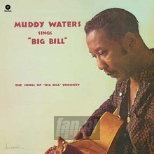 Sings Big Bill Broonzy - Muddy Waters
