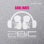 Soul Mate - 2bic