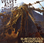 Subconscious Landscapes - Velvet Acid Christ